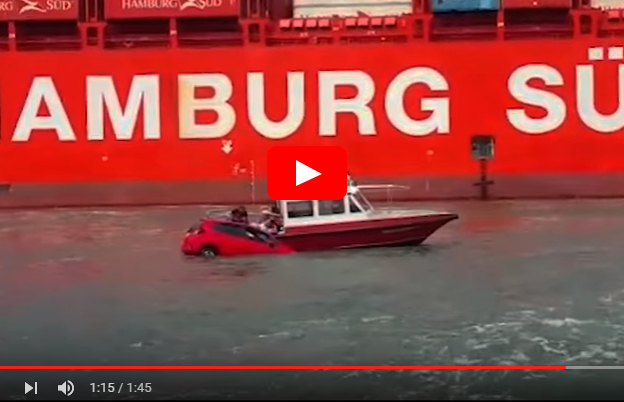 Vídeo: Idosa e cão são resgatados após carro cair no mar