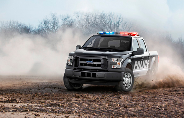 Picape F-150 da Ford ganha nova personalização