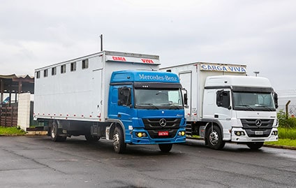 Caminhões Atego são escolhidos para o transporte de cavalos