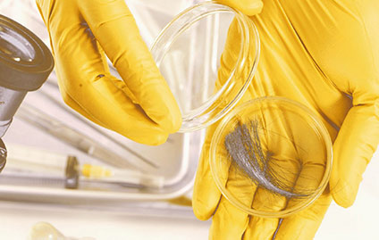 Exame toxicológico é obrigatório, mas motoristas ainda resistem