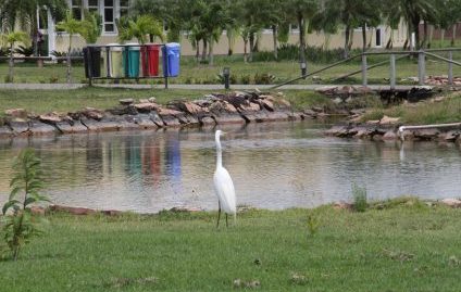 Vídeo mostra compromisso da Ford em sustentabilidade